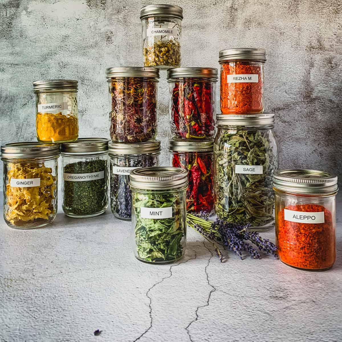 Herbs Kingdom